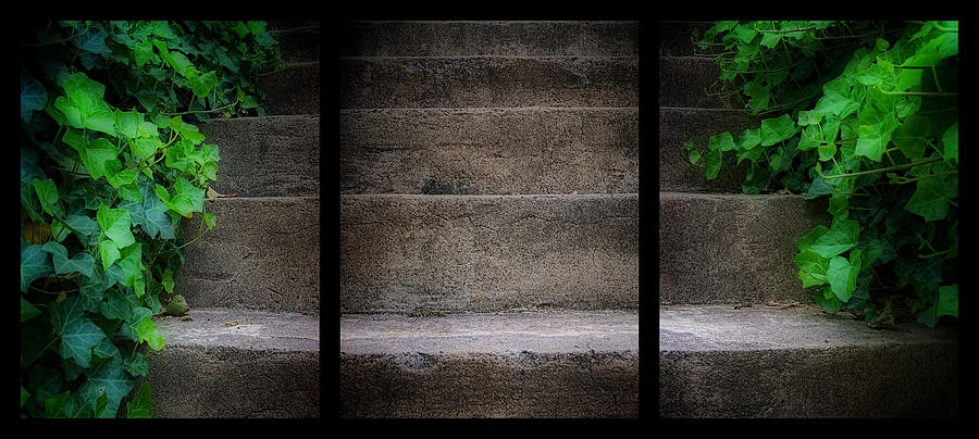 Triptych Ivy Steps Photograph by Steve Hurt