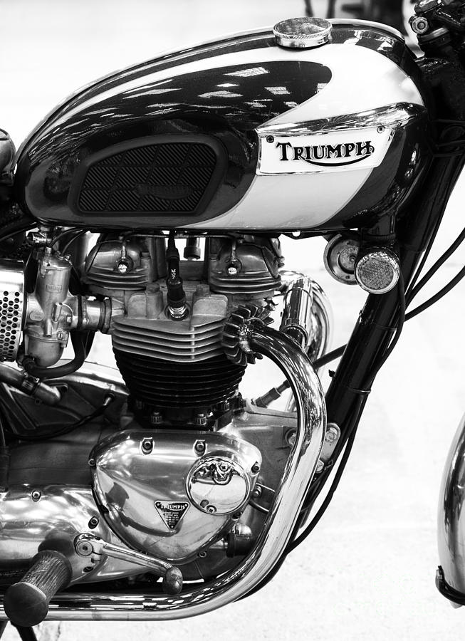 Motorcycle Photograph - Triumph Bonneville by Tim Gainey