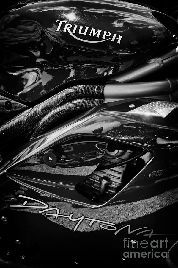 Triumph Daytona Monochrome Photograph by Tim Gainey