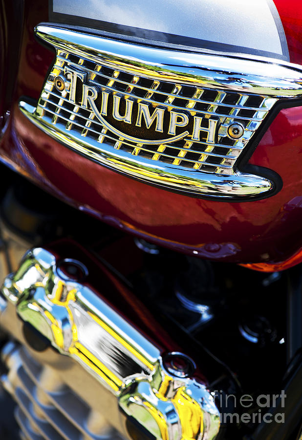 Triumph Thunderbird  Photograph by Tim Gainey