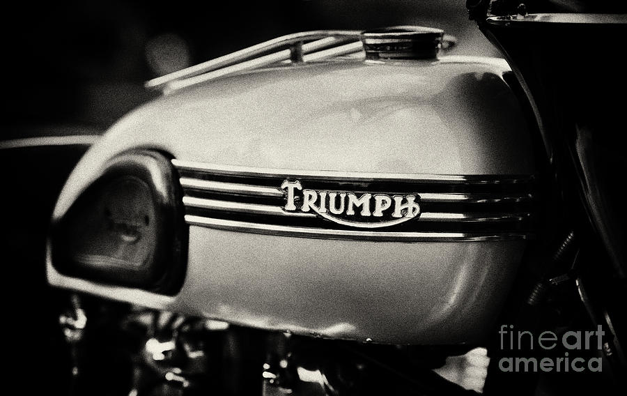Triumph Tiger T110 Tank  Photograph by Tim Gainey