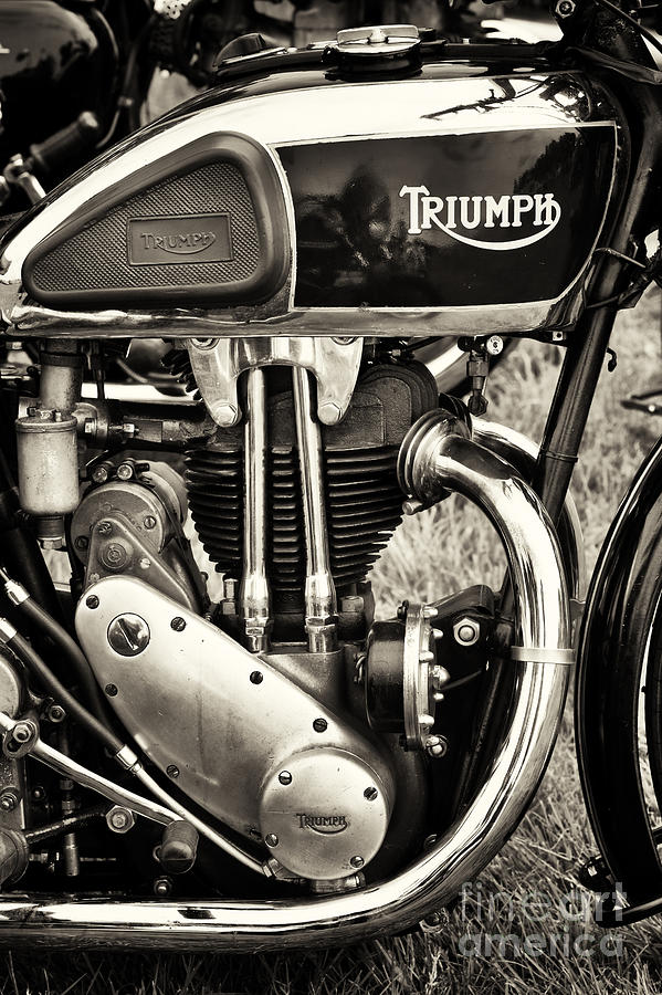 Triumph Tiger 80 Sepia Photograph by Tim Gainey