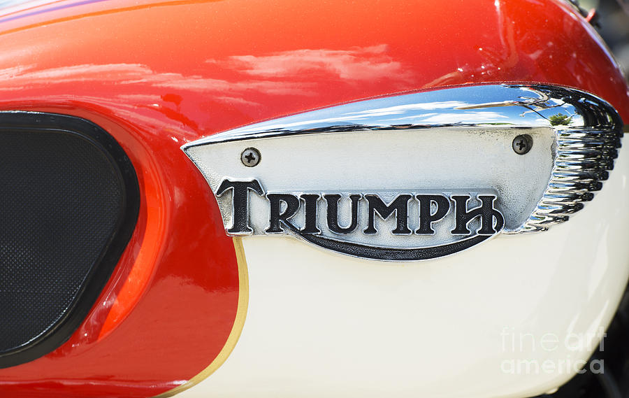 Motorcycle Photograph - Triumph Tiger 90 Tank Badge by Tim Gainey
