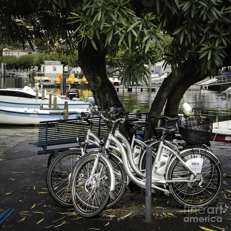 Trois Bikes Photograph by Timothy Hacker