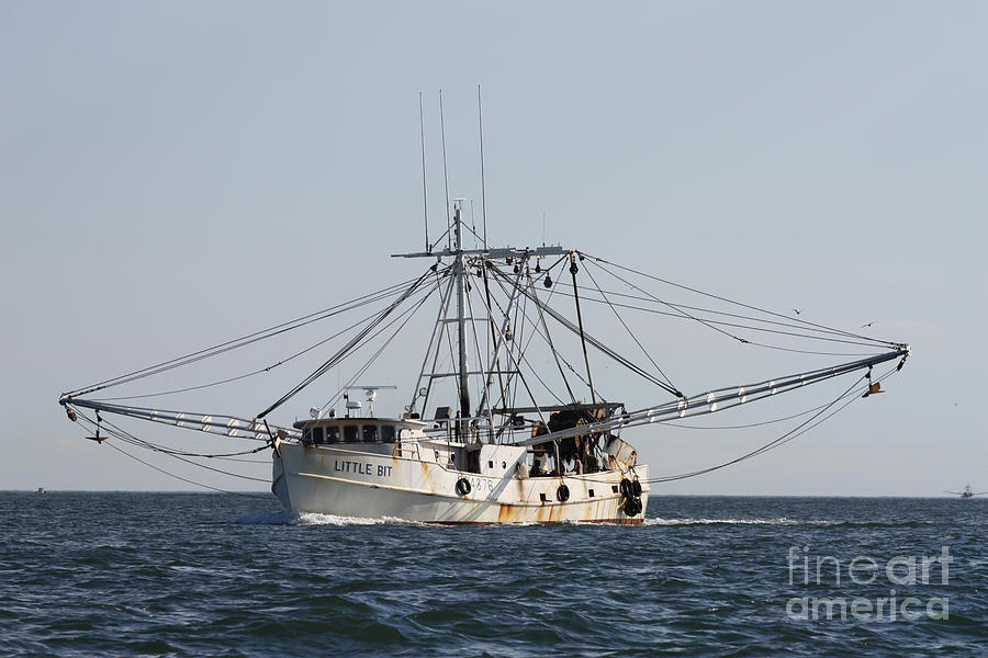 Boat Photograph - Troller to Port by John Telfer