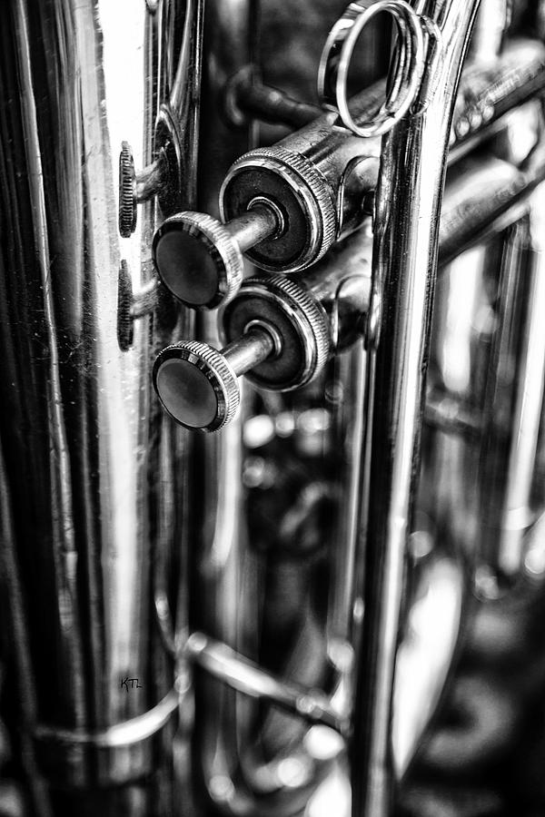 Trombone Photograph by Karol Livote