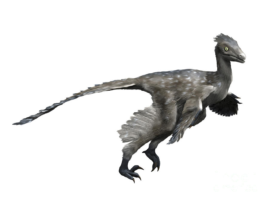 Troodon Dinosaur Digital Art