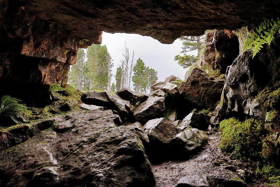 Tropfloch Cave Photograph by Michael Szoenyi