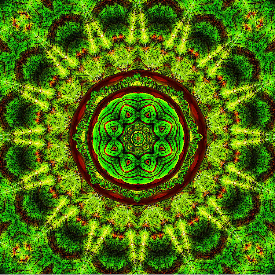 Tropic Leaf Pattern Mandala Digital Art by Deborah Smith