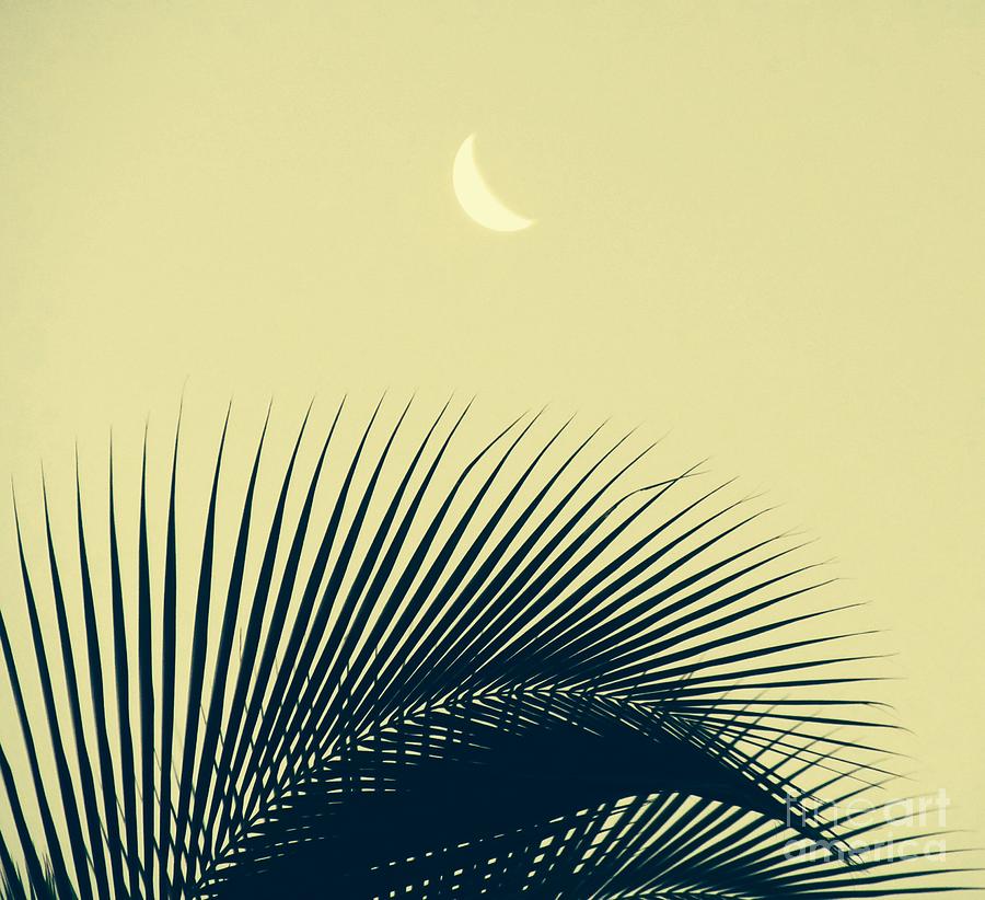 Nature Photograph - Tropic Moon by Fred Sheridan