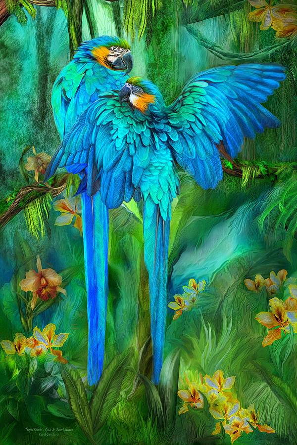 Macaw Mixed Media - Tropic Spirits - Gold and Blue Macaws by Carol Cavalaris
