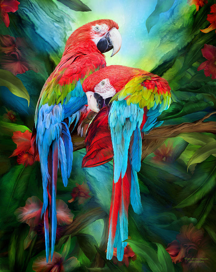 Tropic Spirits - Macaws Mixed Media by Carol Cavalaris