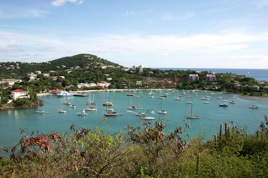 Tropical Bay Photograph by Chris Martin-bahr/science Photo Library ...