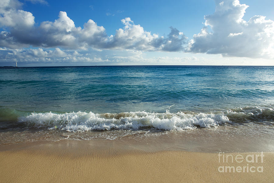 Tropical Beach 4 Photograph by Mel Ashar