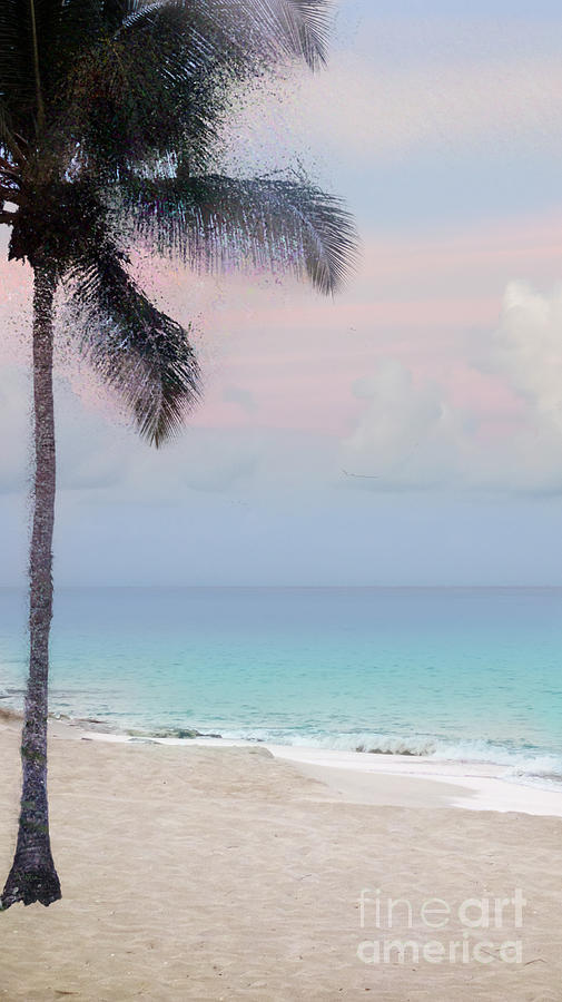 Tropical Beach Dawn Photograph by Betty LaRue