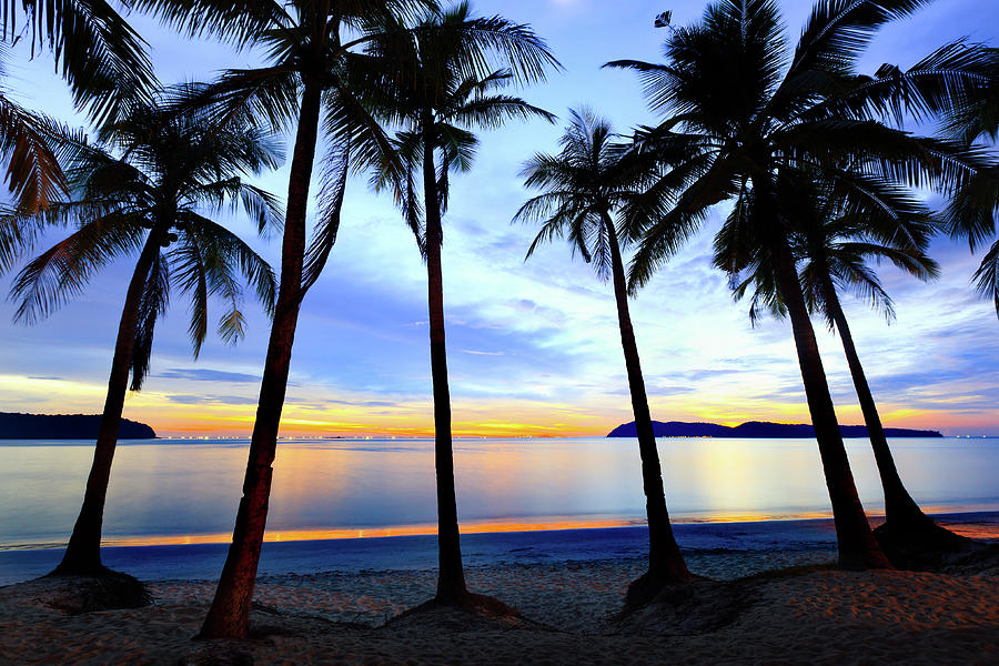 Tropical Beach Photograph by Fredfroese