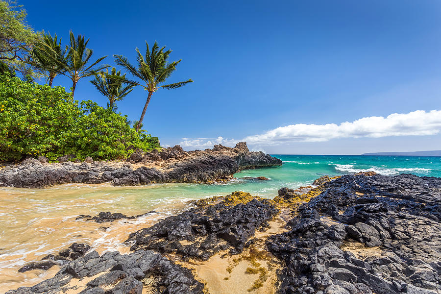 Tropical Beach Hawaii Photograph by Pierre Leclerc Photography