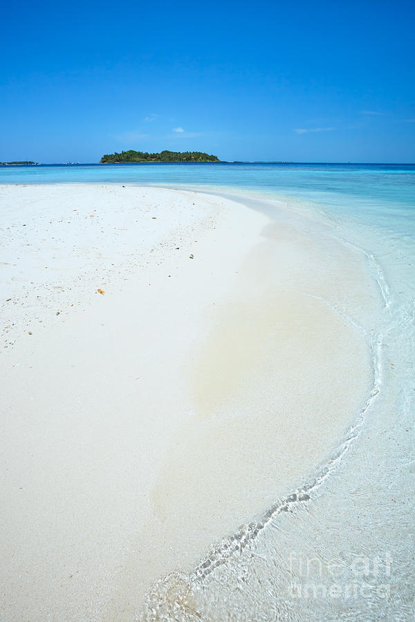 Tropical beach in the Maldives Photograph by Matteo Colombo