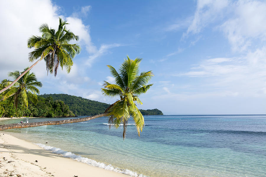 Tropical beach Photograph by Joe Belanger - Fine Art America