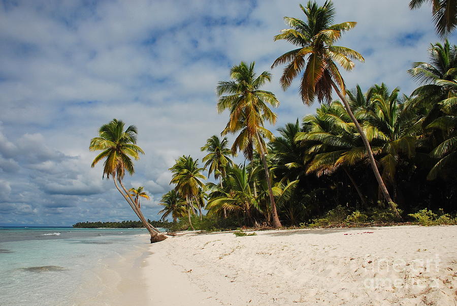 Tropical Beach Photograph by Karin Stein - Pixels