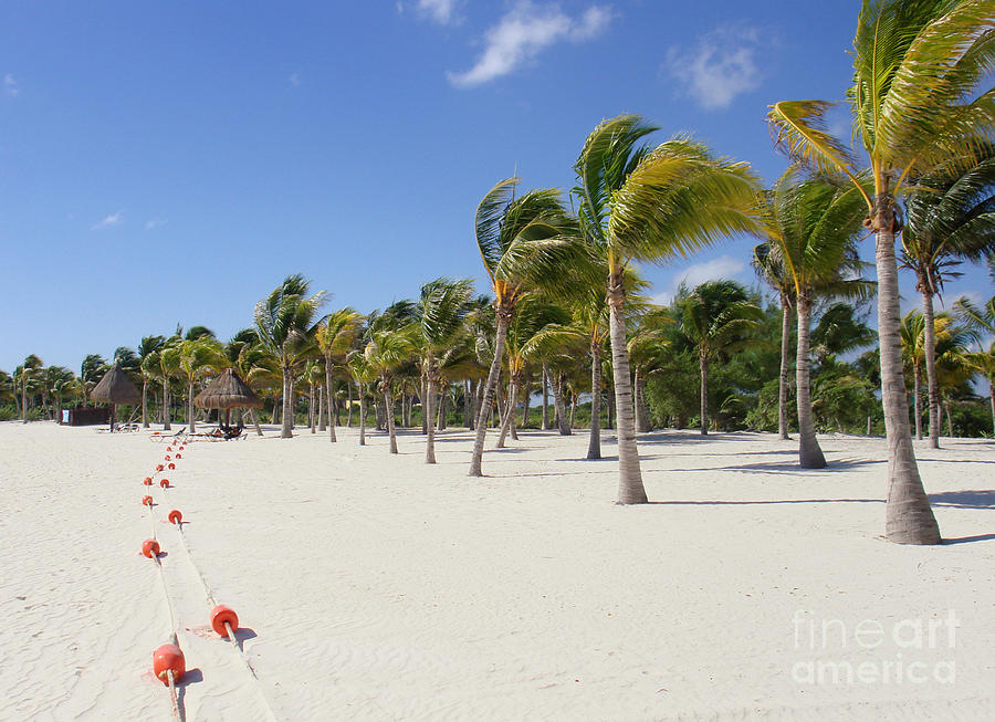 Beach Photograph - Tropical Beach - Mayan Riviera - Yucatan Peninsula - Mexico by Renata Ratajczyk