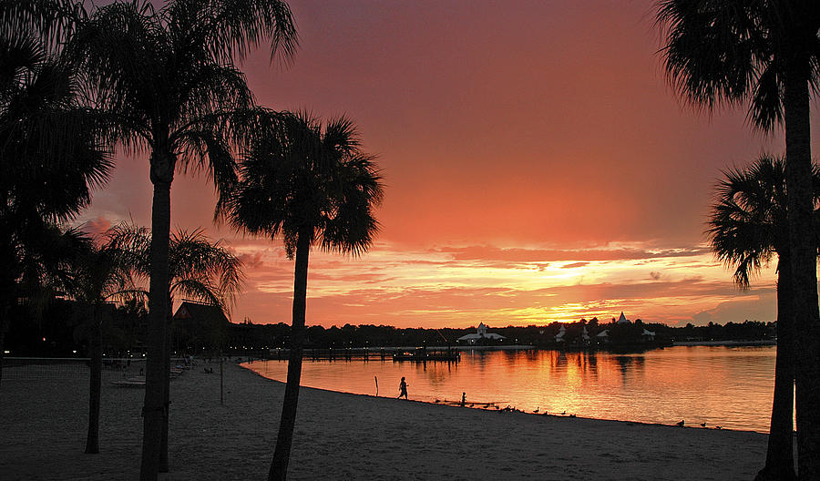 Tropical Beach Sunset with Palm Tree Silhouettes Photograph by A Macarthur Gurmankin