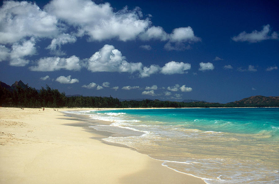 Tropical Beach Photograph by Sunstar