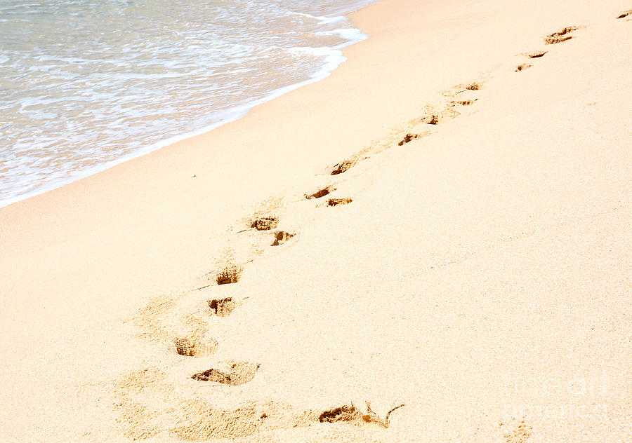 Tropical Beach With Footprints Photograph