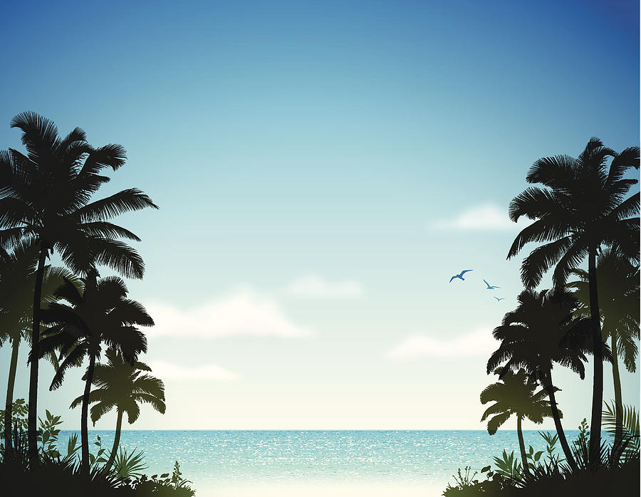 Tropical Beach with Palm Trees Drawing by Aleksandarvelasevic