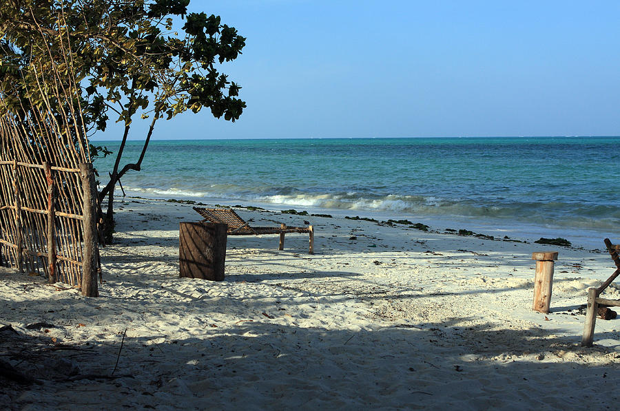 Tropical Beach - Zanzibar Photograph by Aidan Moran