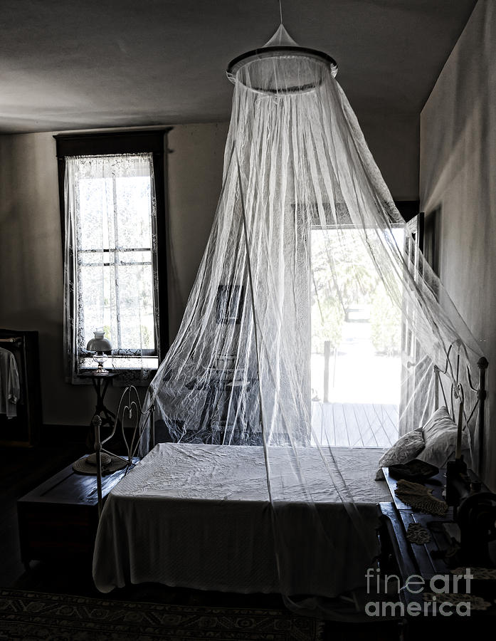 Bed with Mosquito Net at Koreshan State Historic Site in Florida Photograph by William Kuta
