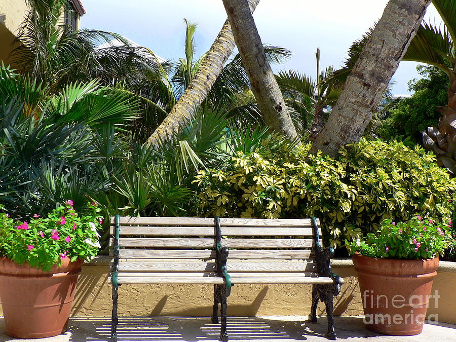 Tropical Bench Photograph by Elizabeth Fontaine-Barr