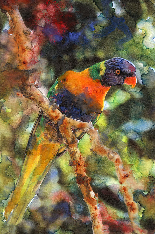 Parrot Painting - Tropical Bird 1 by Susan Powell