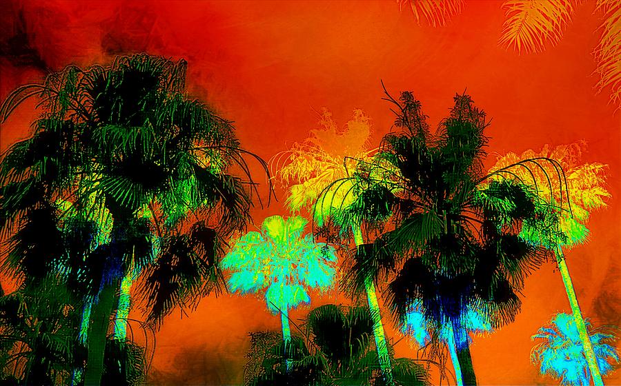 Tropical Blend Photograph by Barbara Chichester