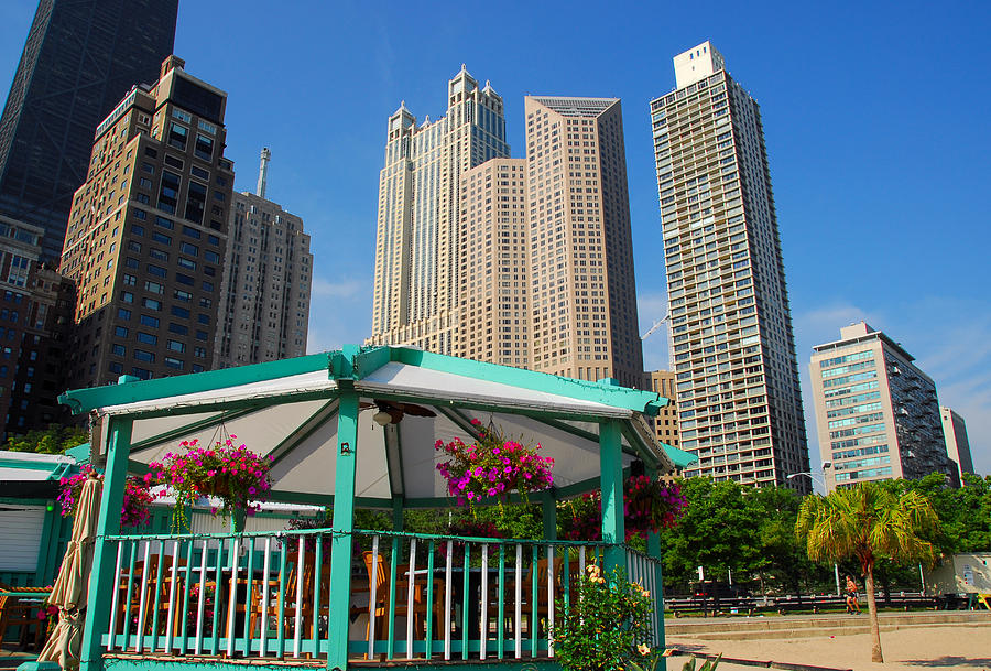 Tropical Chicago Photograph by Lynn Bauer