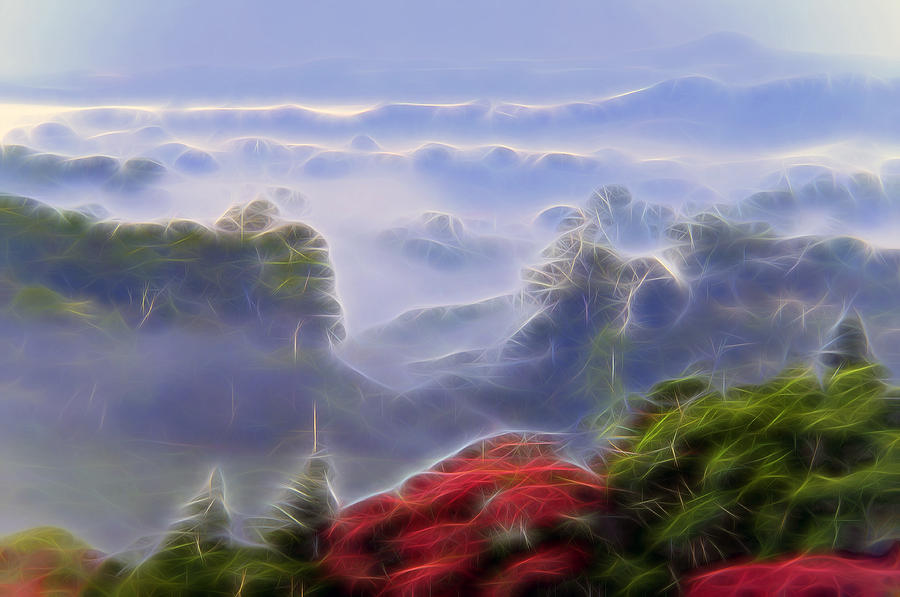Tropical Cloudforest Digital Art by William Horden