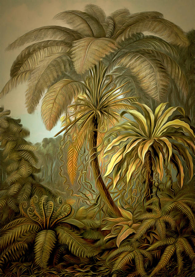 Tropical Ferns and Palm Trees Painting by Unknown | Fine Art America