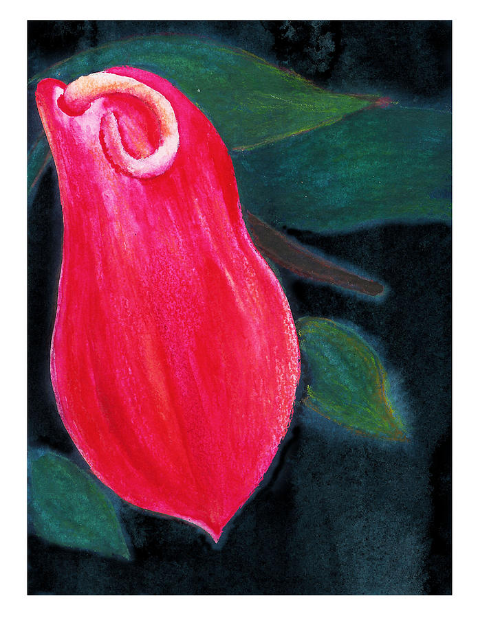 Tropical Flower 2 Painting by C Sitton