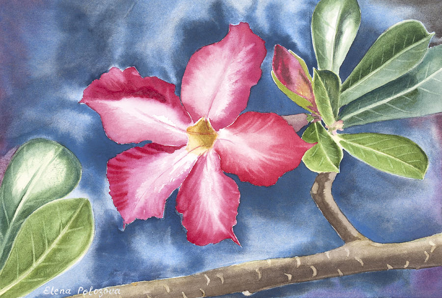 Tropical Flower Painting by Elena Polozova