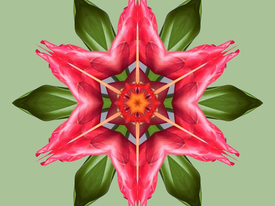 Tropical Flower Mandala Digital Art by Diane Lynn Hix