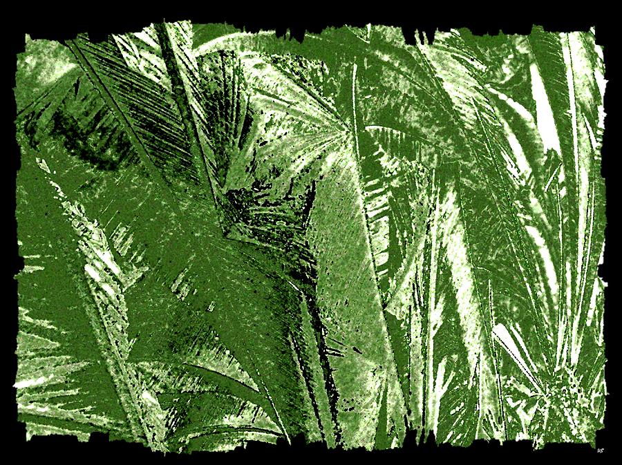 Tropical Foliage Digital Art by Will Borden