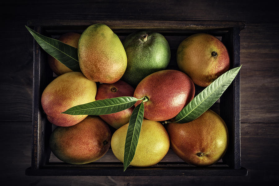 Tropical fruits: Wooden crate with assorted mangos in rustic kitchen. Natural lighting Photograph by Apomares Tropical fruits: Wooden crate with assorted mangos in rustic kitchen. Natural lighting Photograph by Apomares