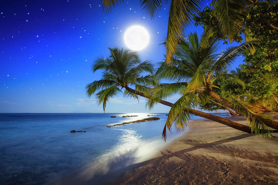 Tropical Full Moon Night Photograph by Cinoby