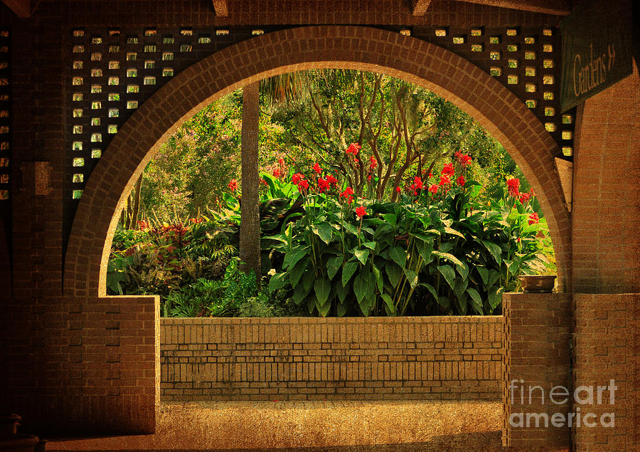 Tropical Garden Arch Photograph by Kathy Baccari