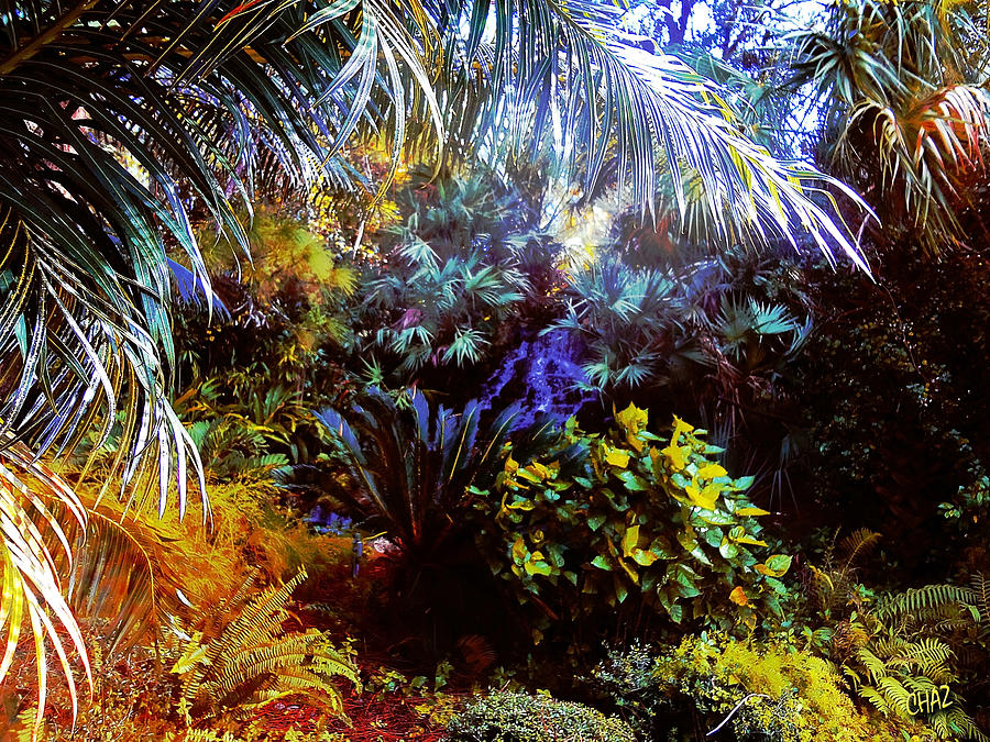 Tropical Garden Photograph by CHAZ Daugherty