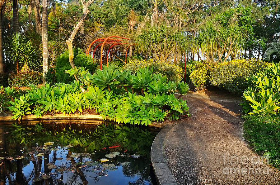 Garden Photograph - Tropical Gardens by Kaye Menner