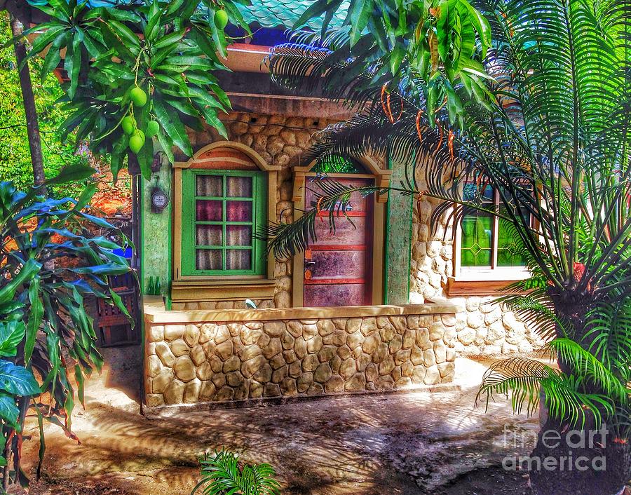 Tropical House Photograph by Michael Arend