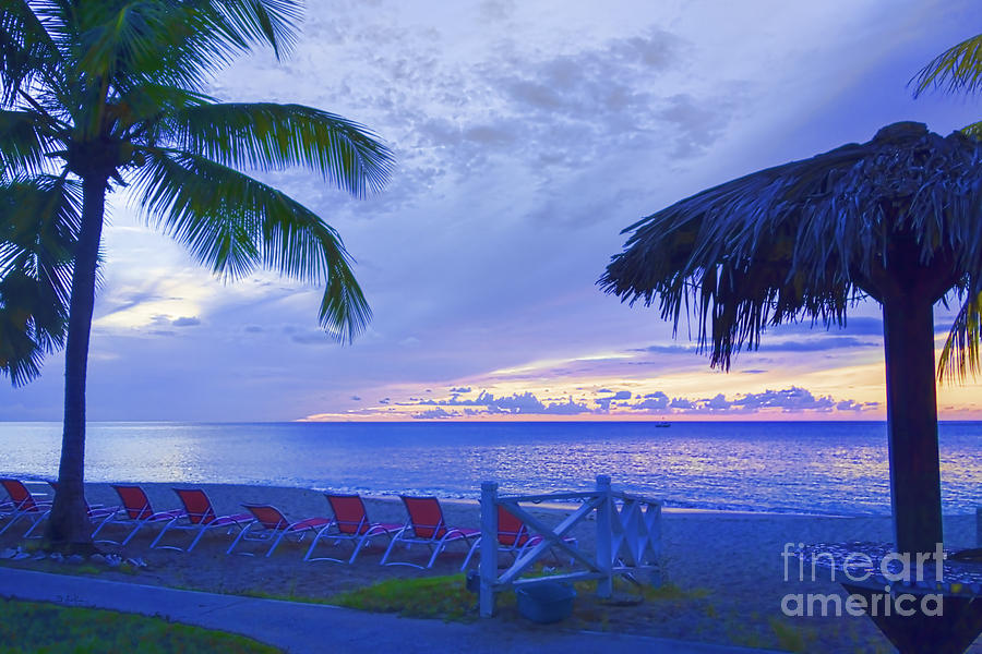 Paradise Photograph - Tropical Island by Betty LaRue