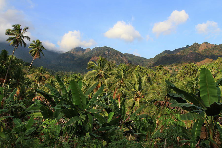 Tropical Landscape Photograph by Photo By Sayid Budhi