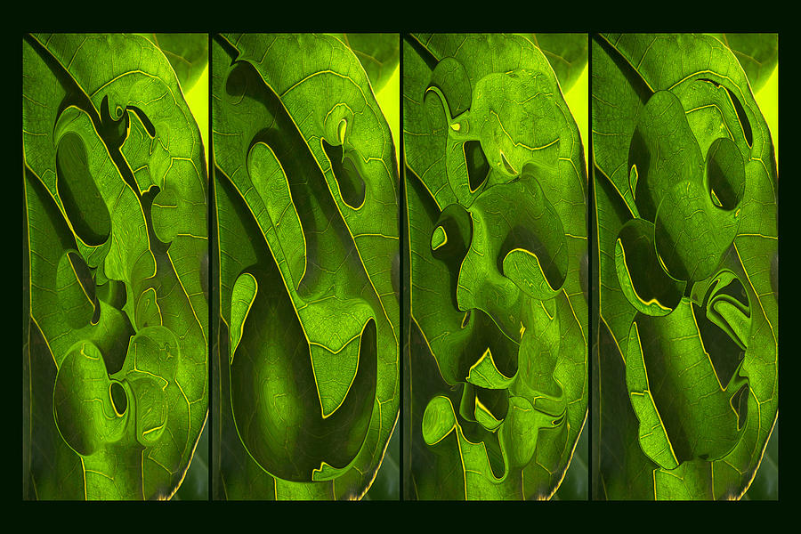 Tropical Leaf 4 Abstract Photograph by Theo OConnor